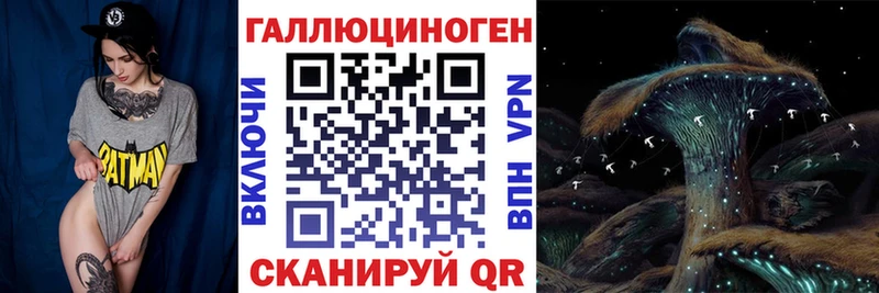 Псилоцибиновые грибы Cubensis  Купить закладки  Каргат 